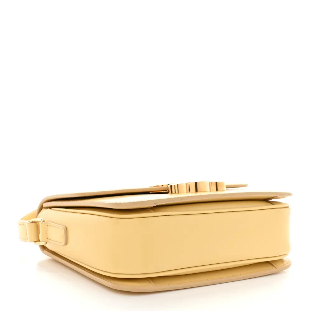 Superfake Handbags with Gold Hardware – Celine Triomphe - Image 6