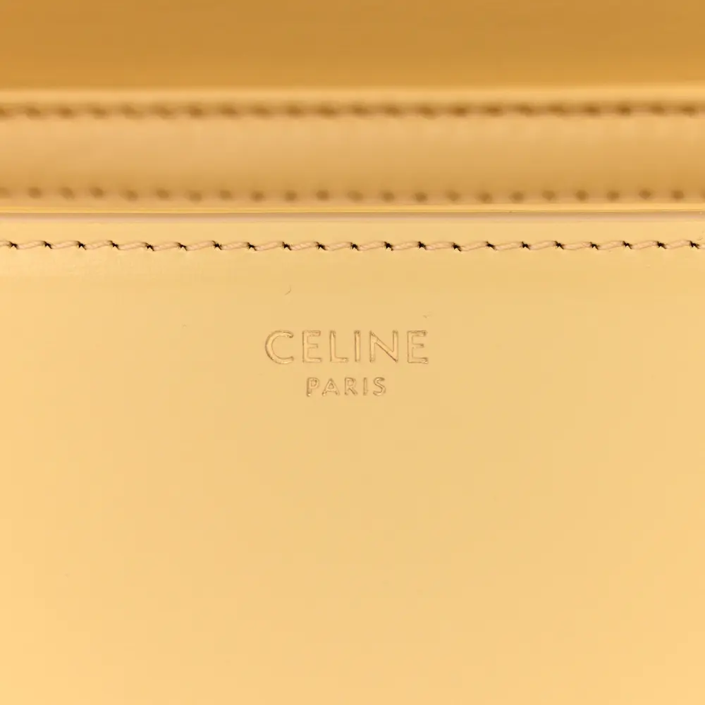 Superfake Handbags with Gold Hardware – Celine Triomphe - Image 2