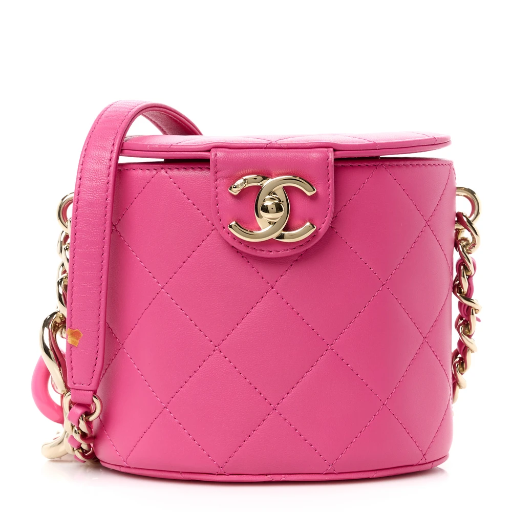 Chanel Dark Pink Quilted Lambskin Leather & Resin Elegant Chain Vanity Case Aged Gold Hardware Front replica handbag